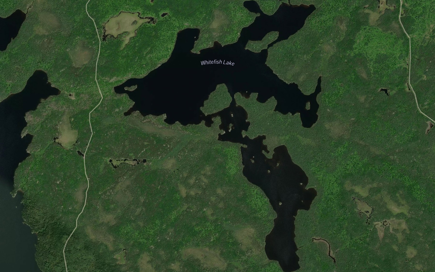 Satellite map of the Whitefish Lake