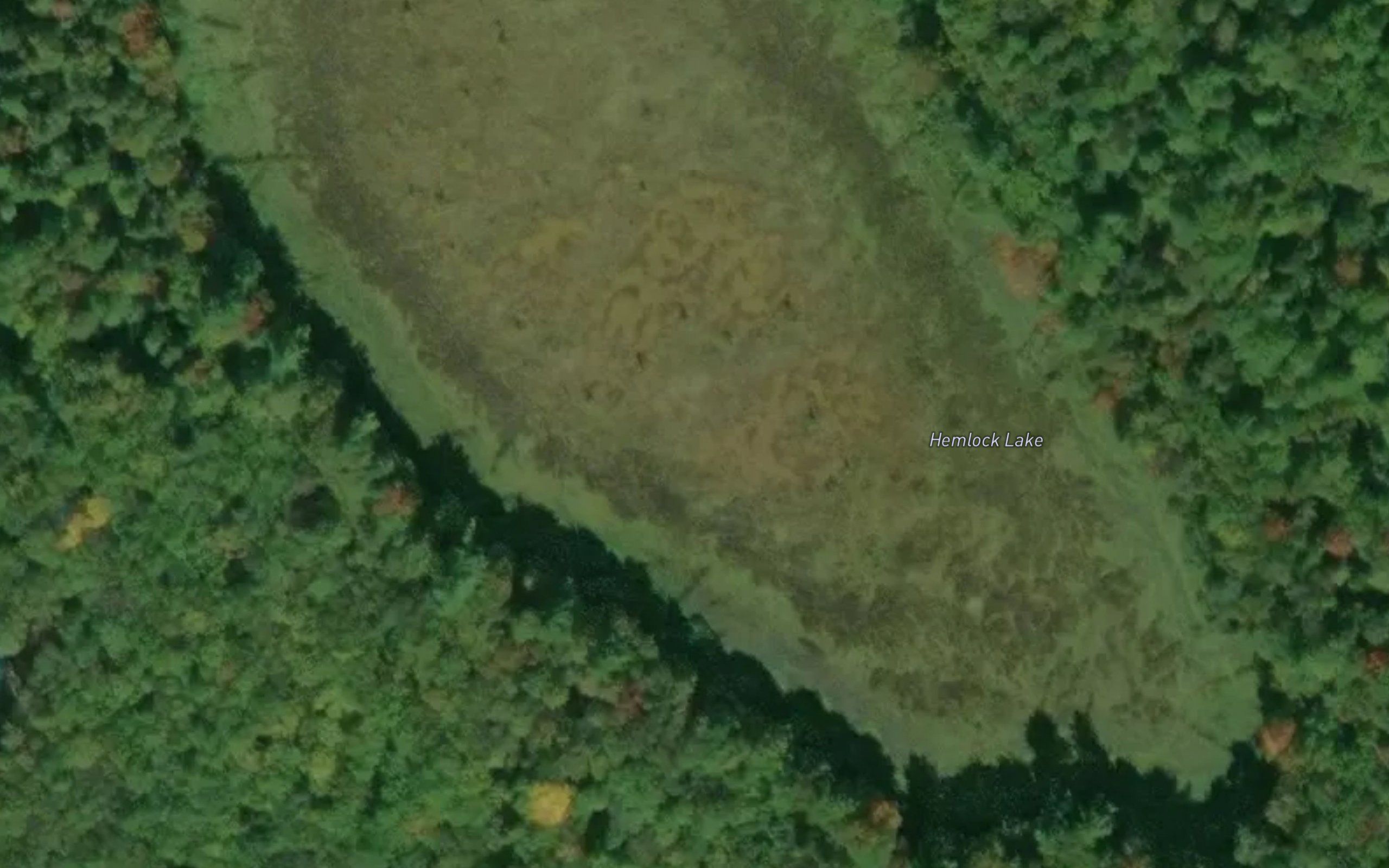 Hemlock Lake