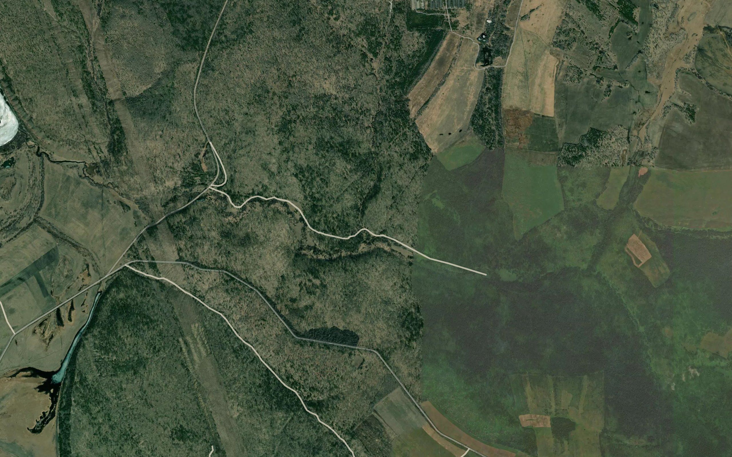 Vinogitnaya