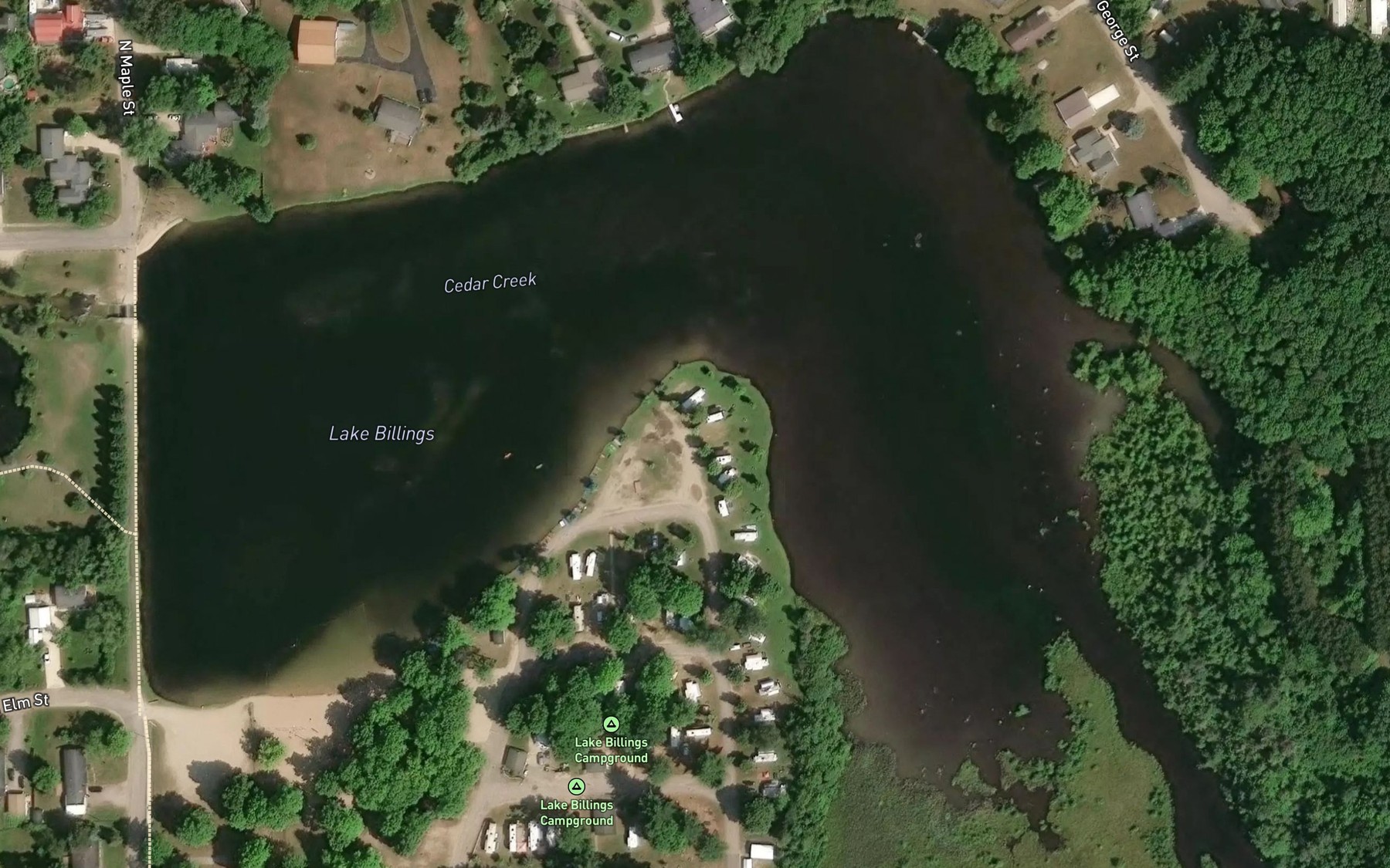 Satellite map of the Billings Lake