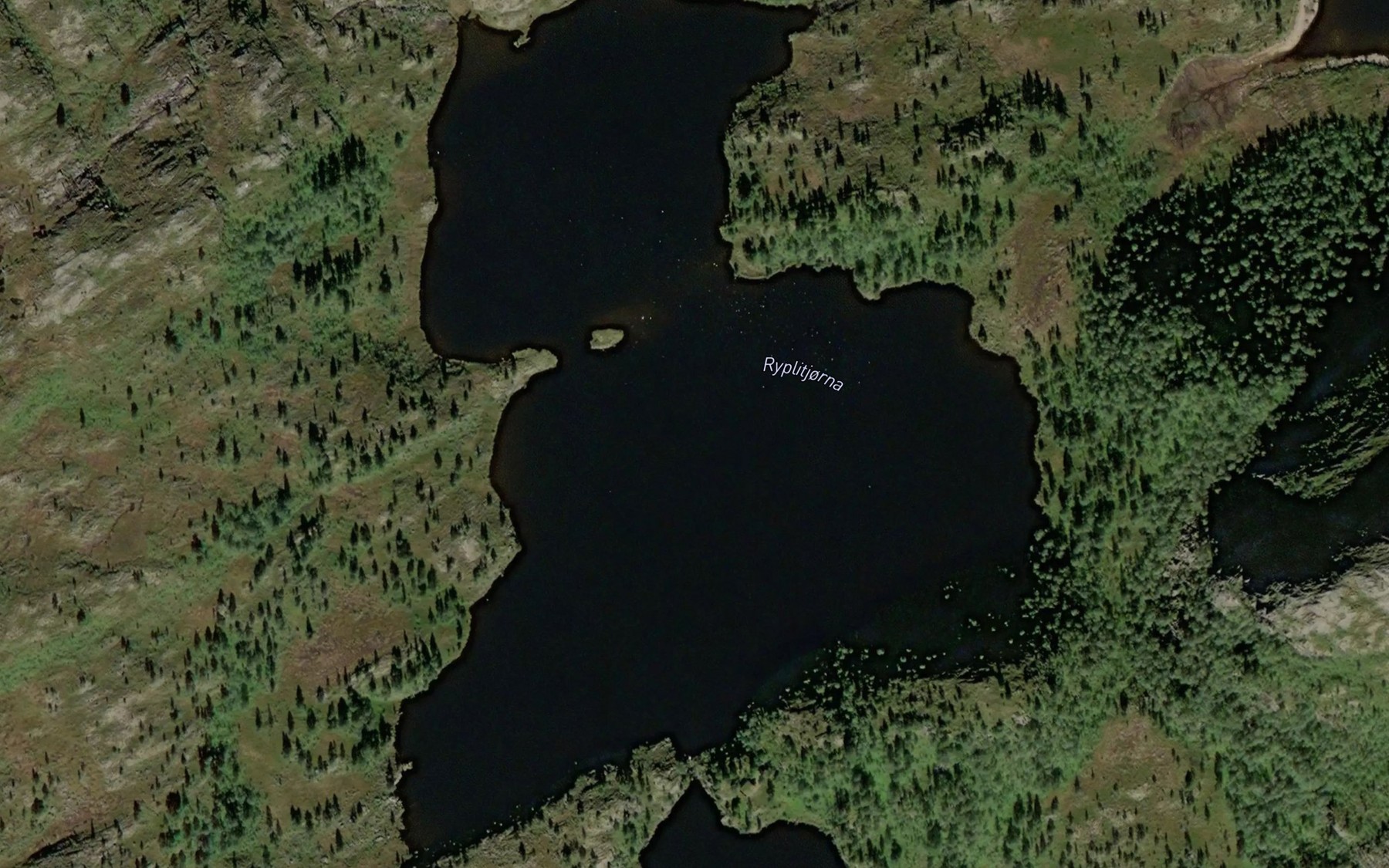 Satellite map of the Ryplitjorna