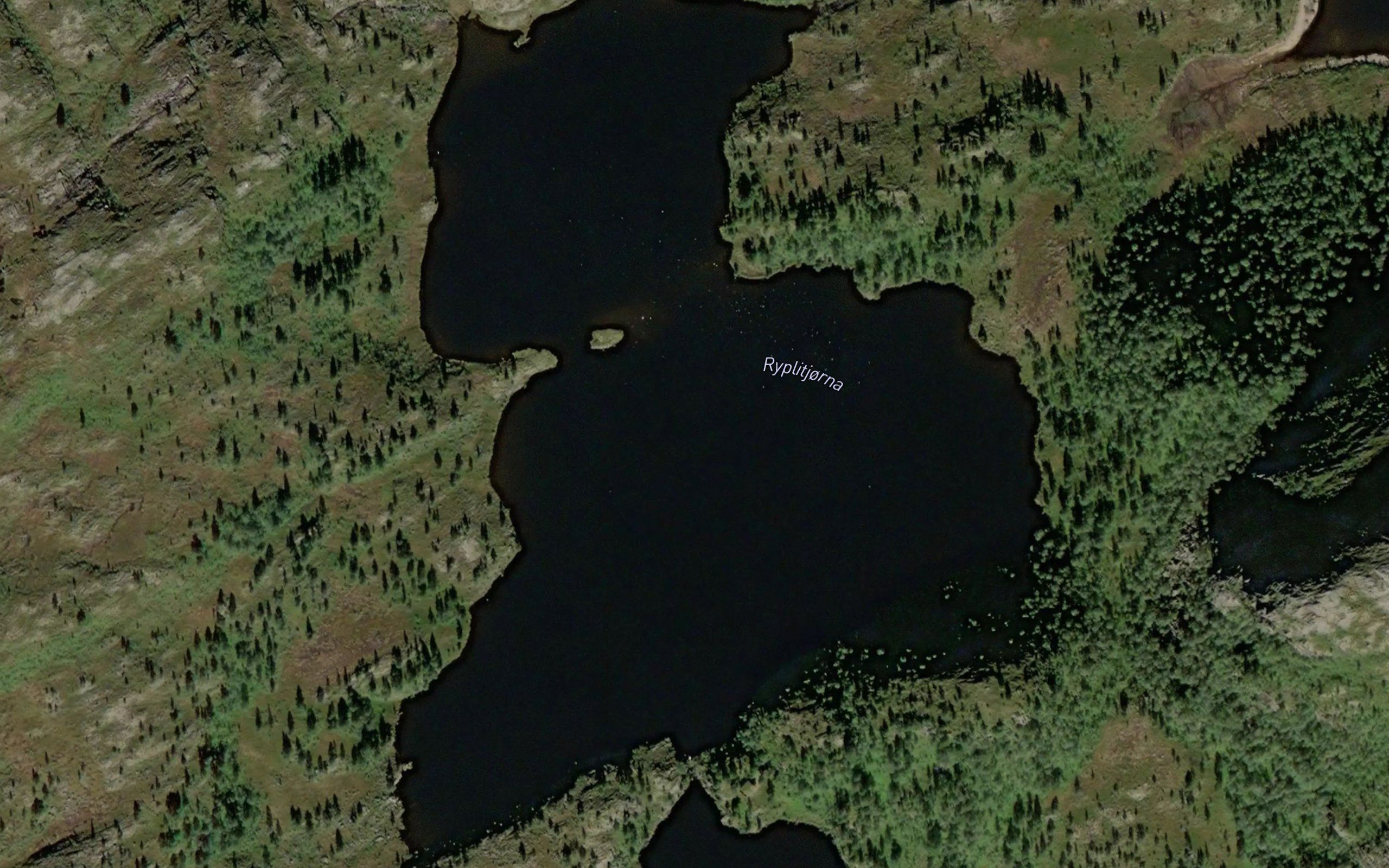 Ryplitjorna