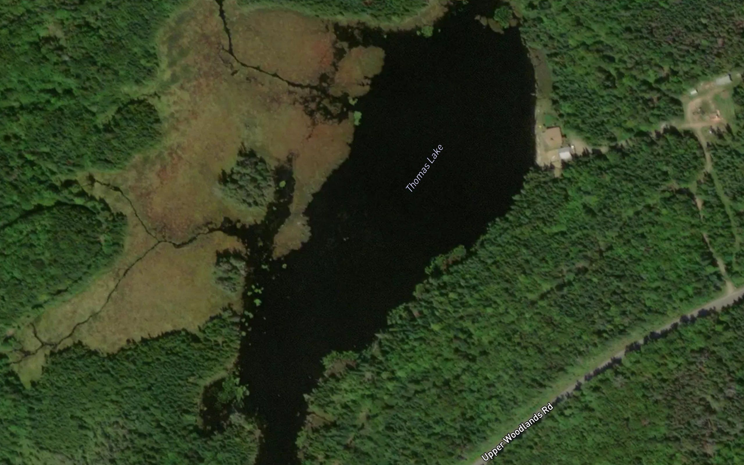 Thomas Lake