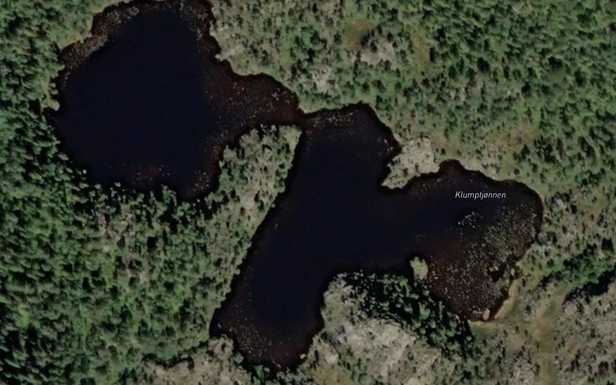 Klumptjonnen