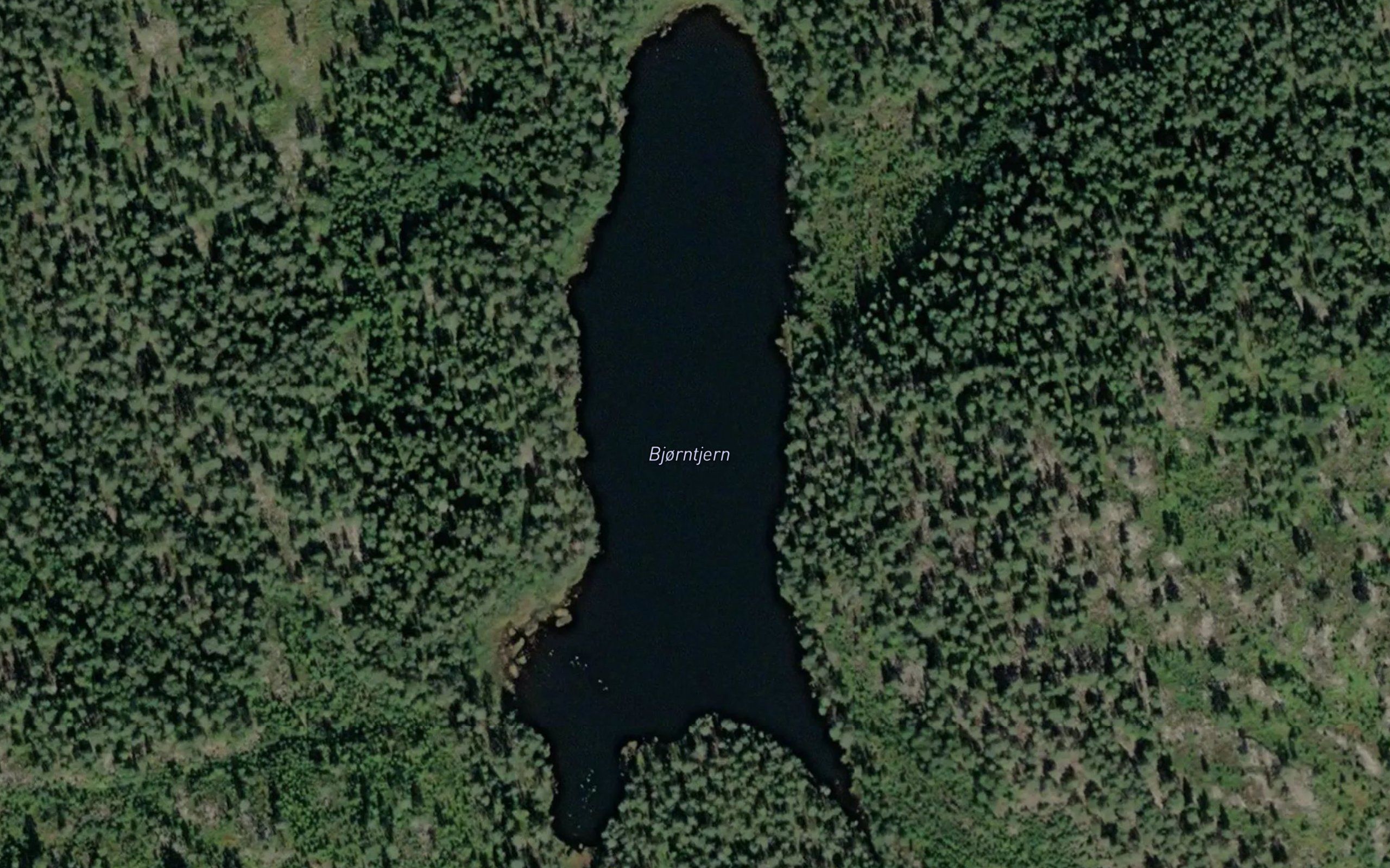 Bjonntjern