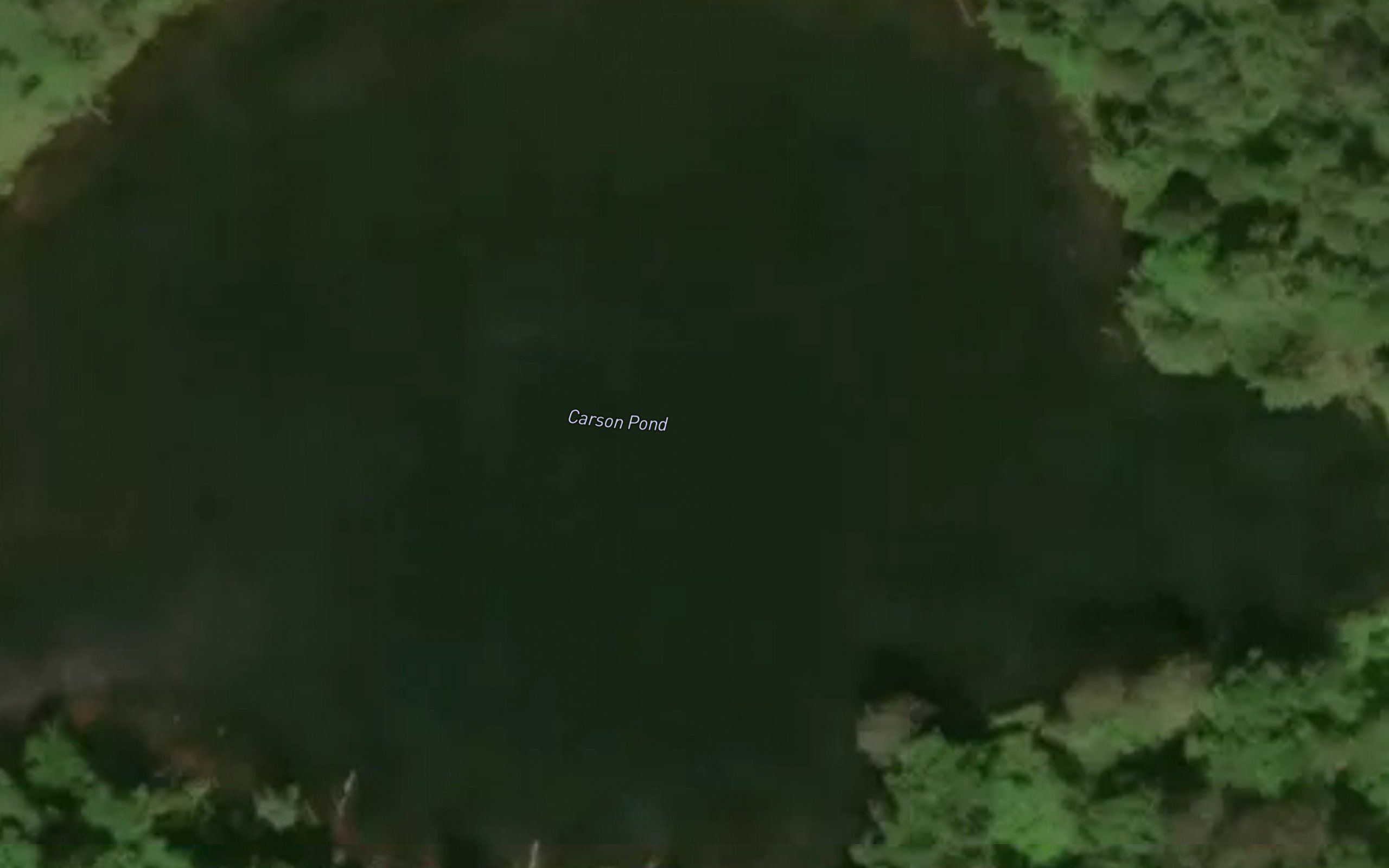 Carson Pond
