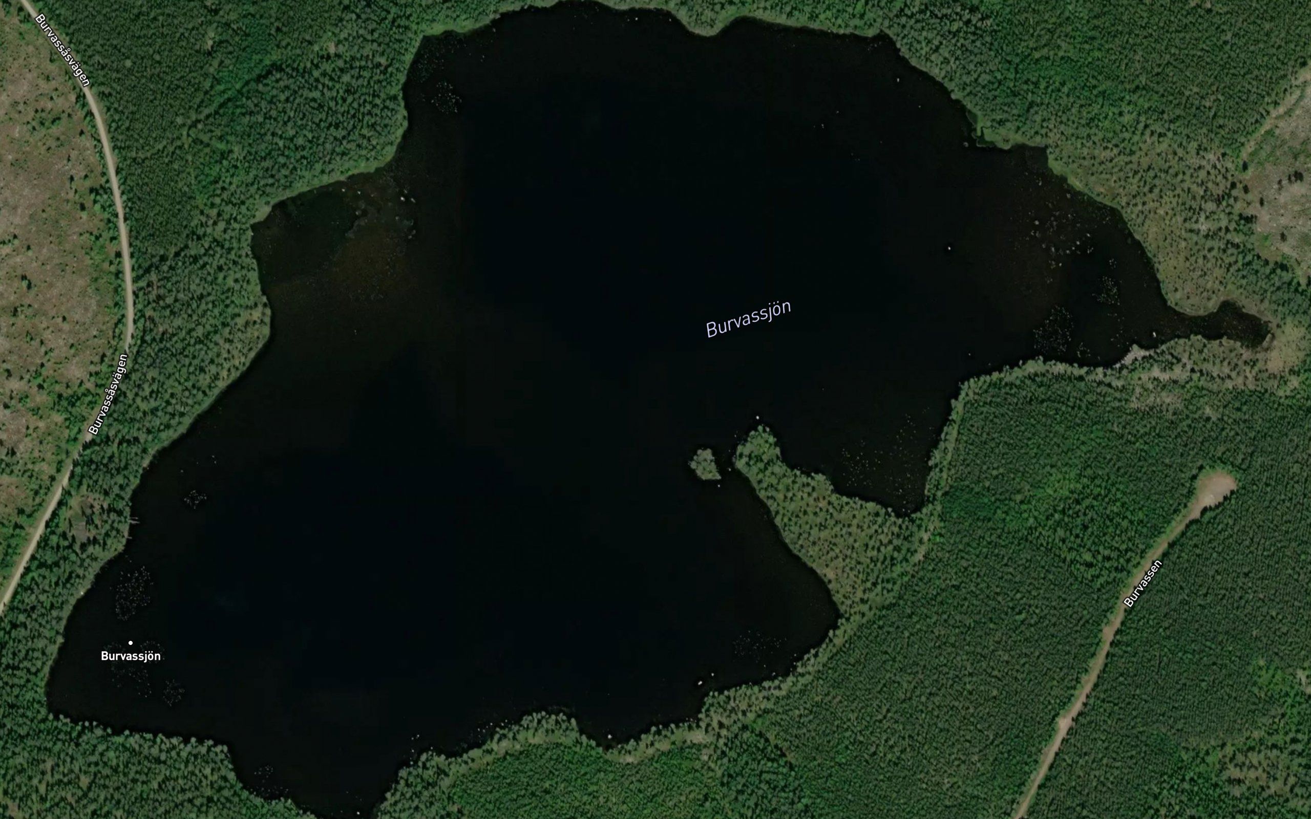 Burvassjoen