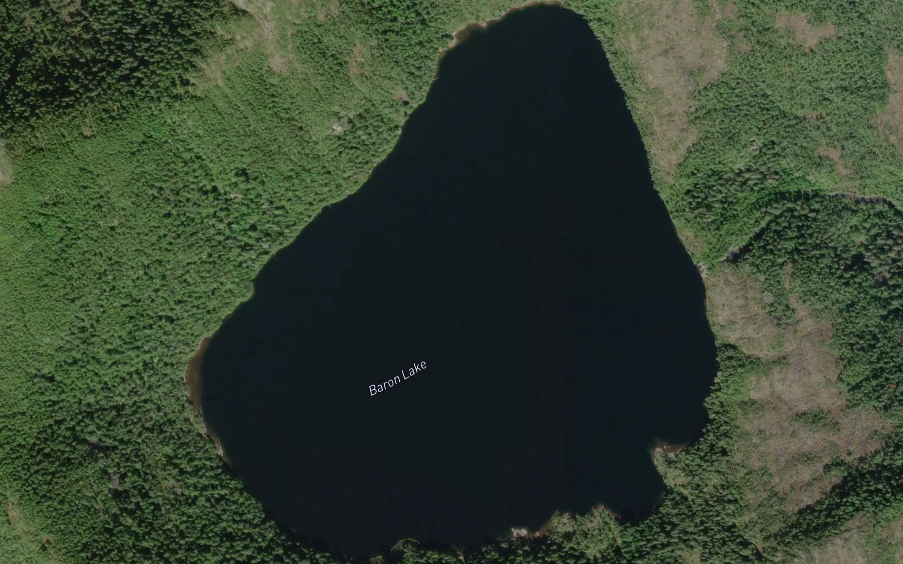 Satellite map of the Baron Lake