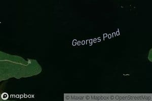 Georges Pond