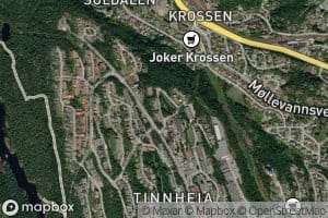 Tinntjonn