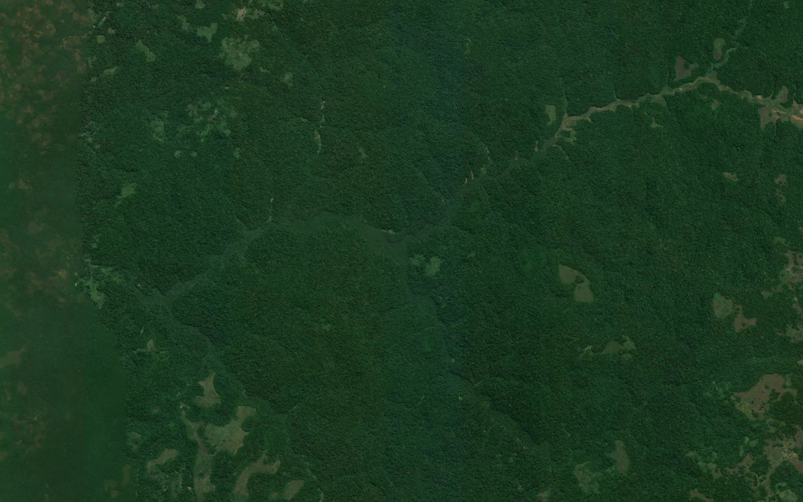 Dikula
