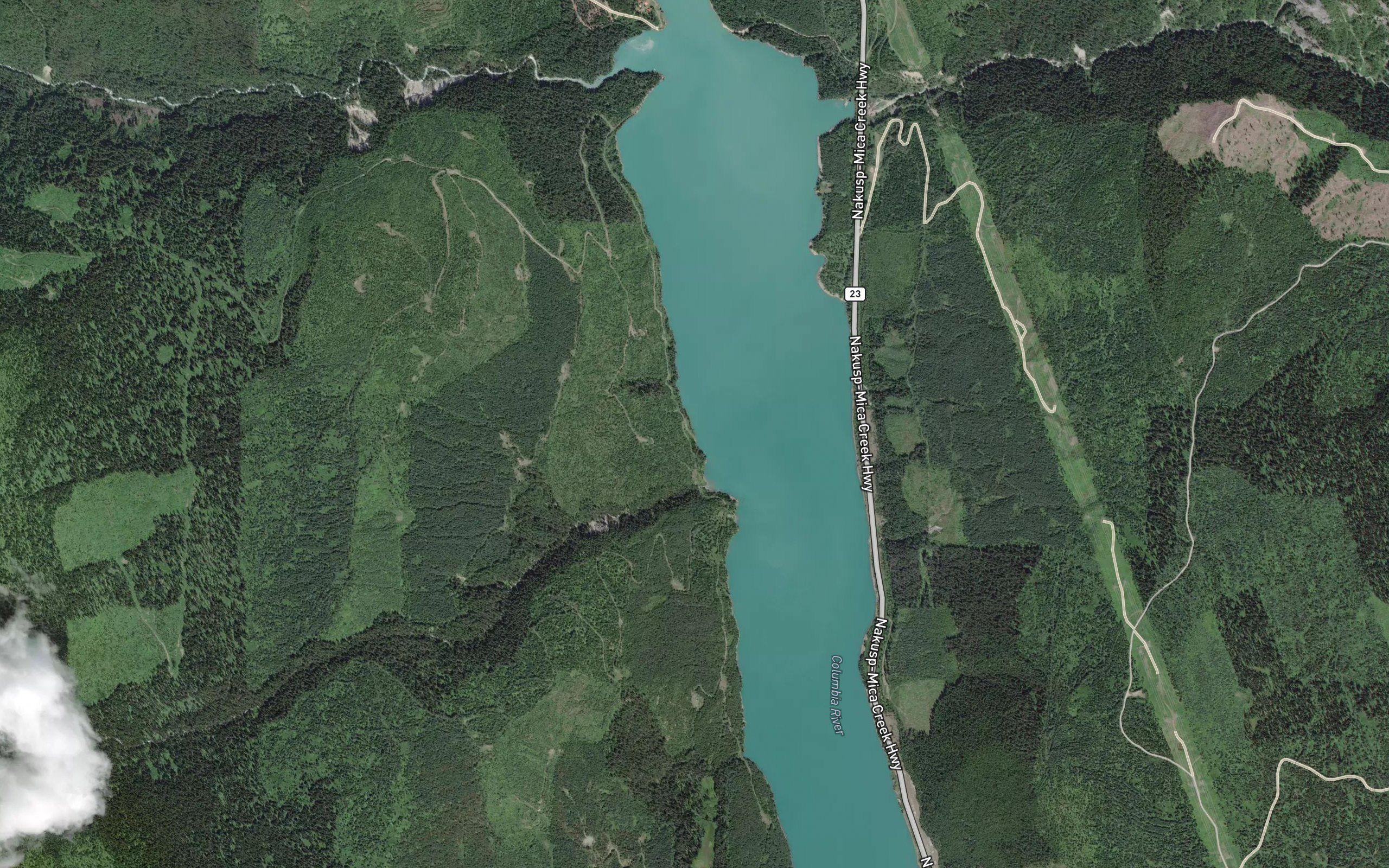 Fernie Creek