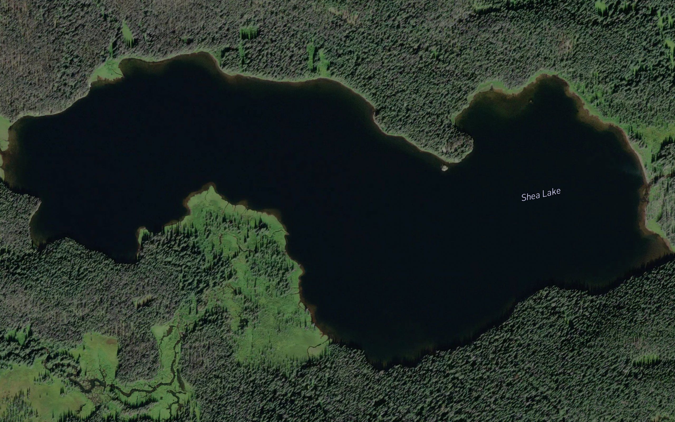 Shea Lake