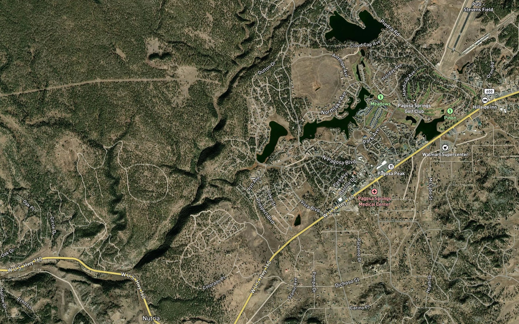 Satellite map of the Lake Forest