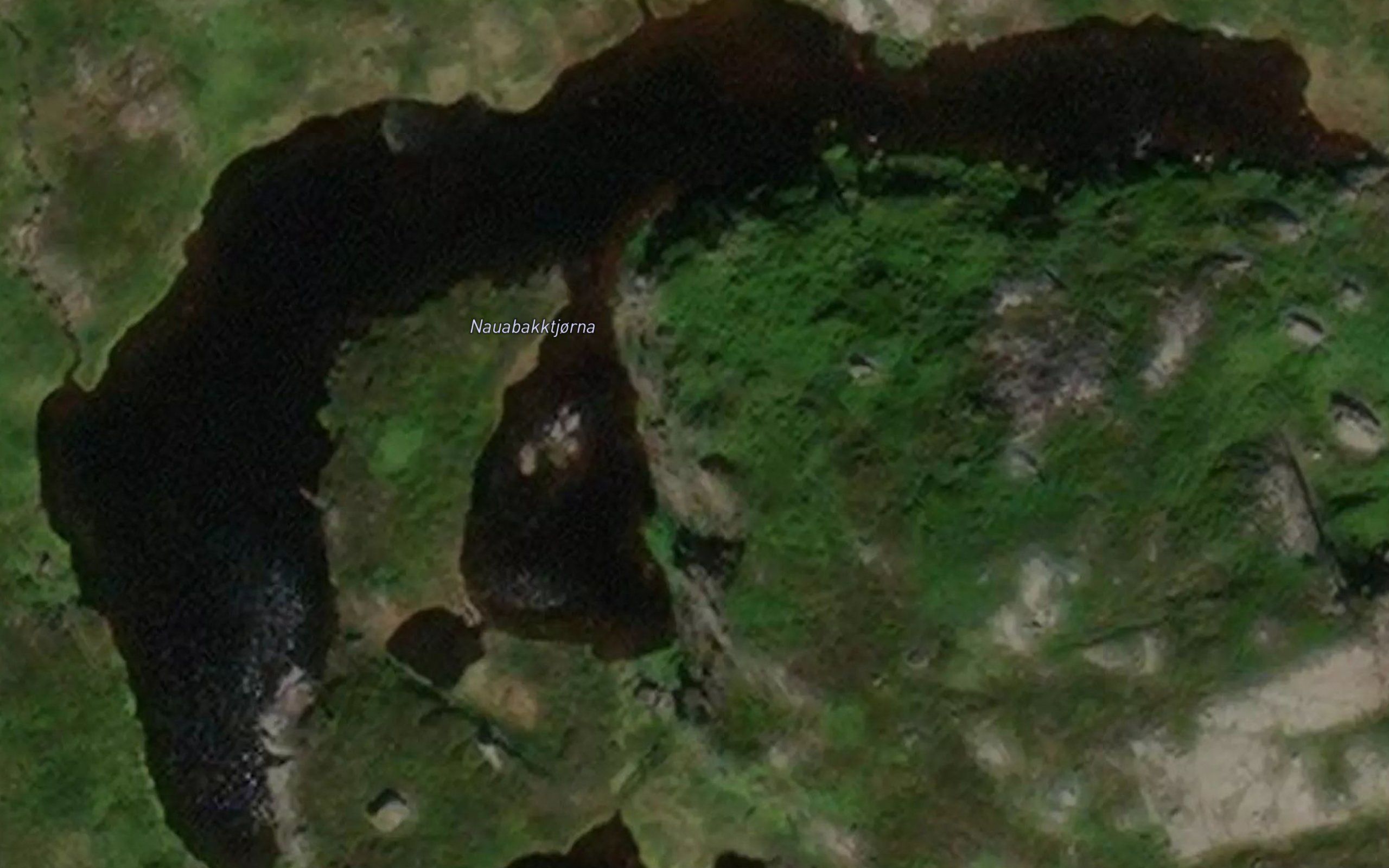 Nauabakktjorna