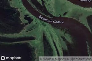 Bol'shoy Salym