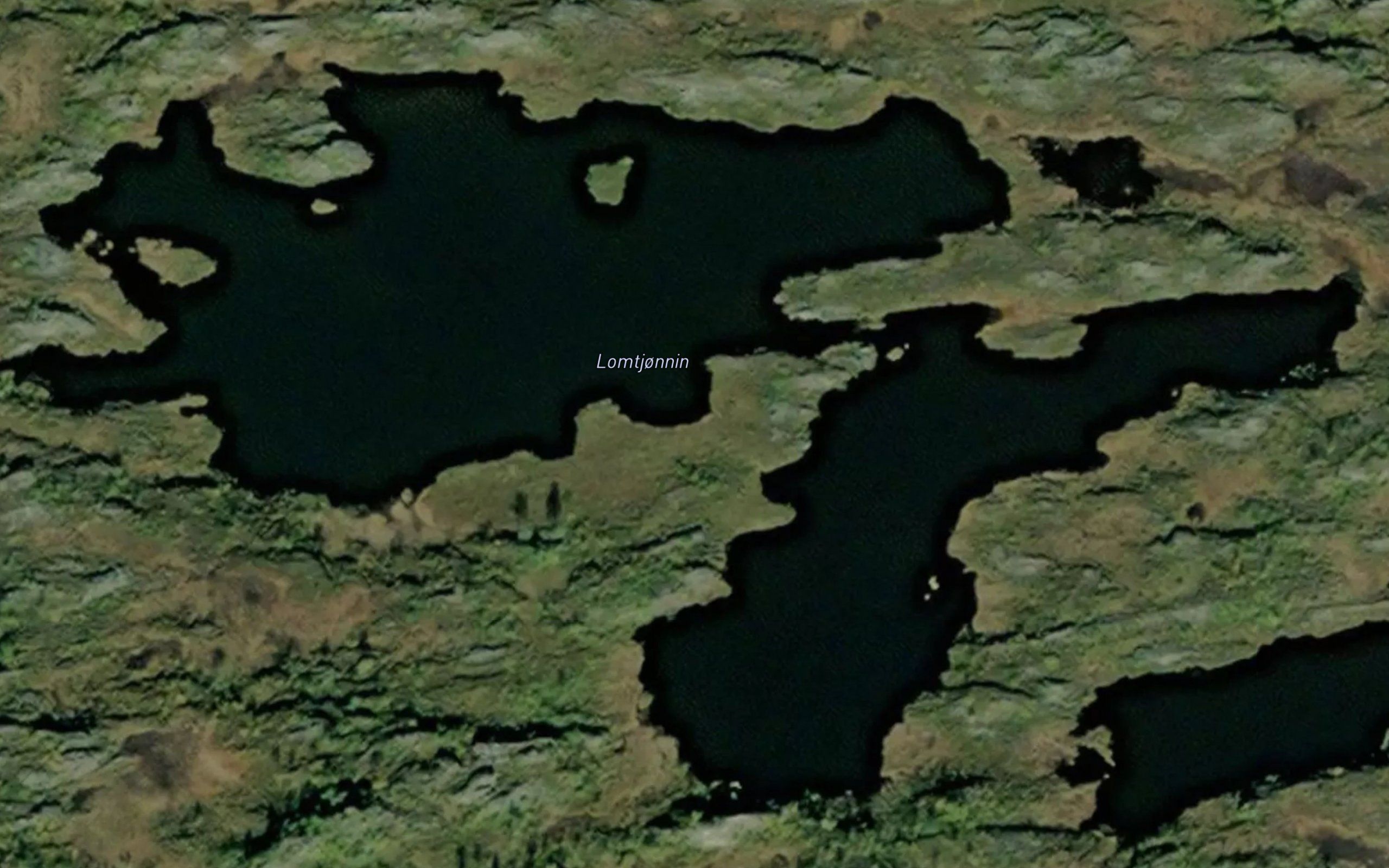 Lomtjonnin