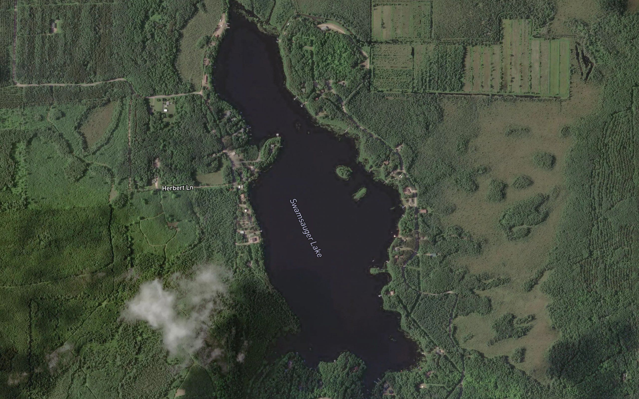 Swamsauger Lake