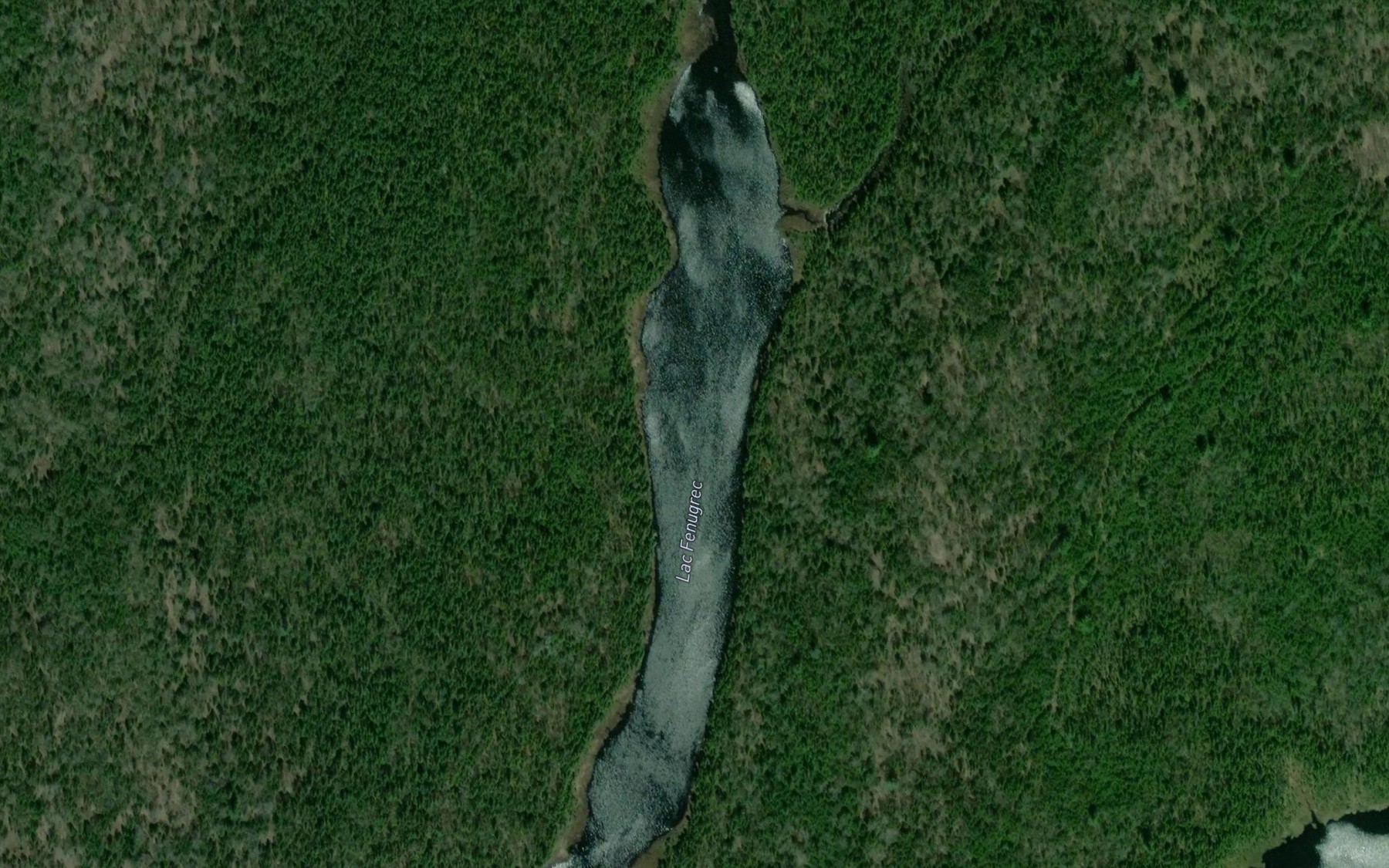 Satellite map of the Lac Fenugrec