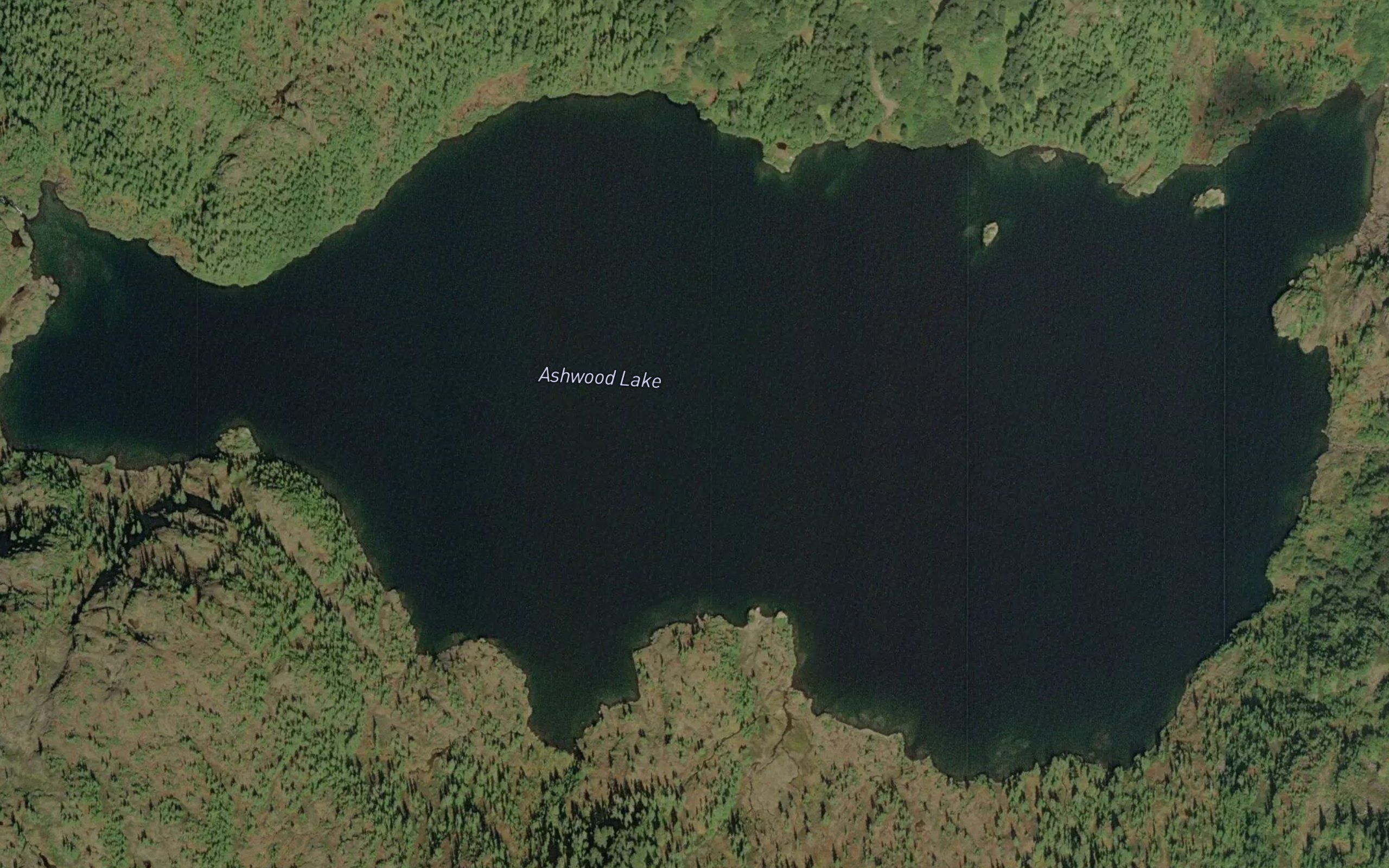 Ashwood Lake