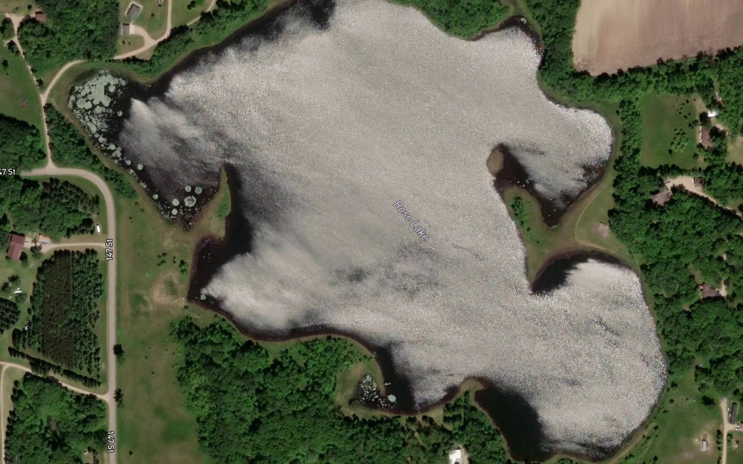 Rose Lake