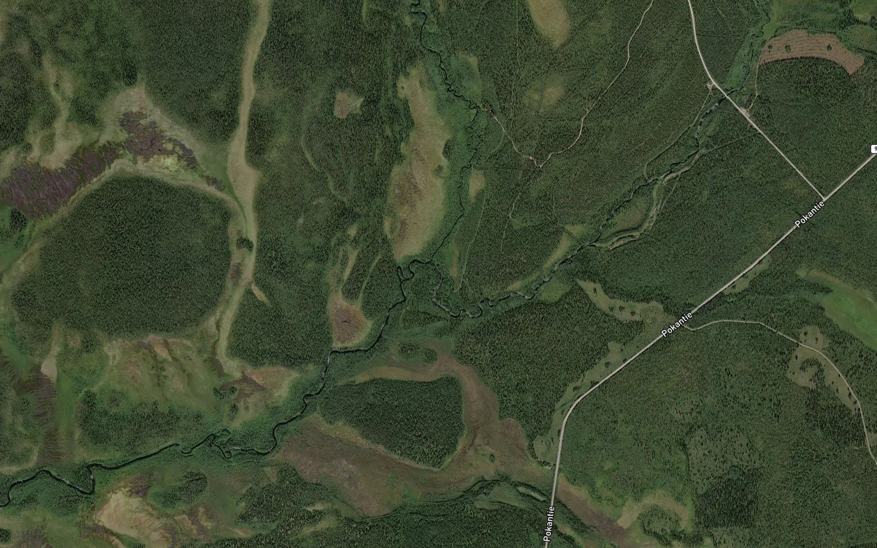 Satellite map of the Nuutijoki