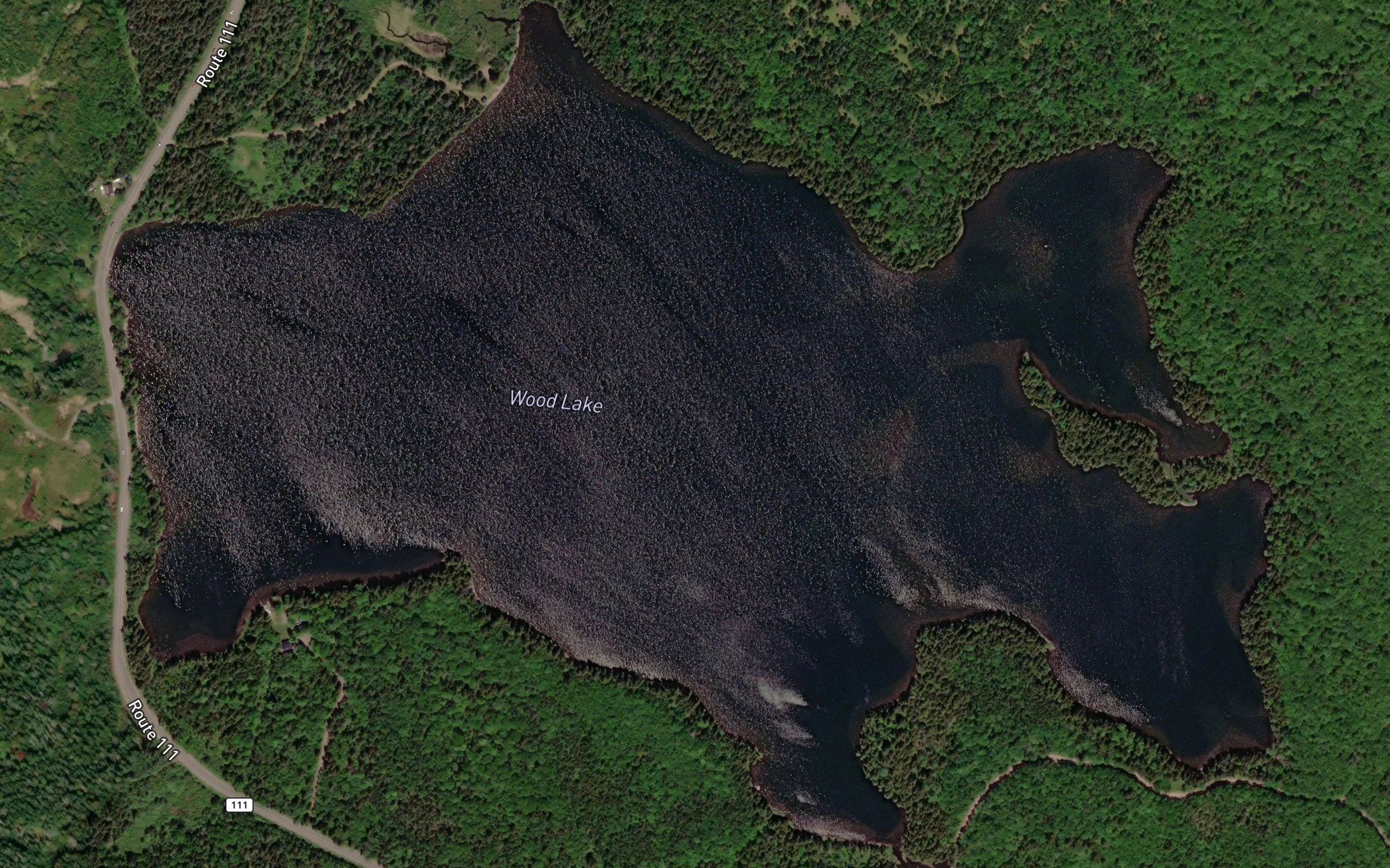 Wood Lake