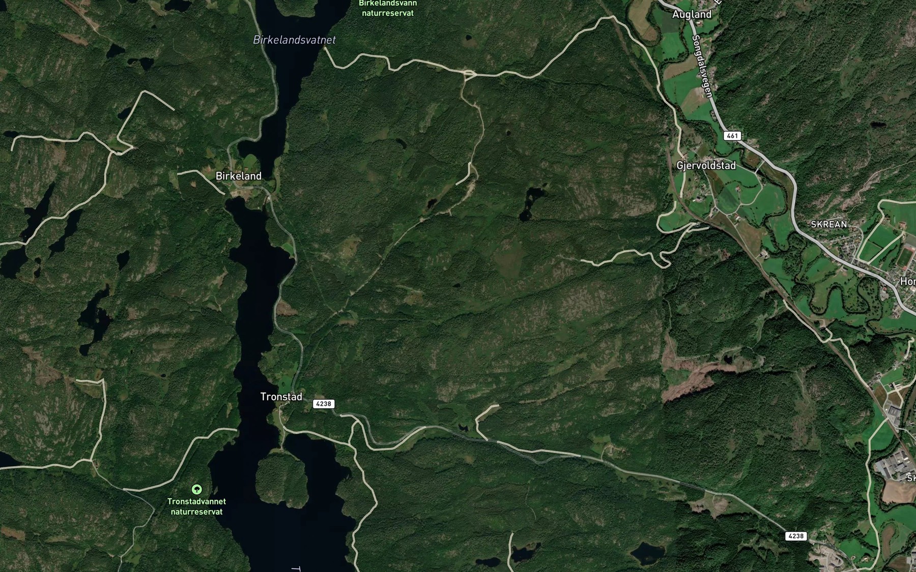 Satellite map of the Lomtjonn