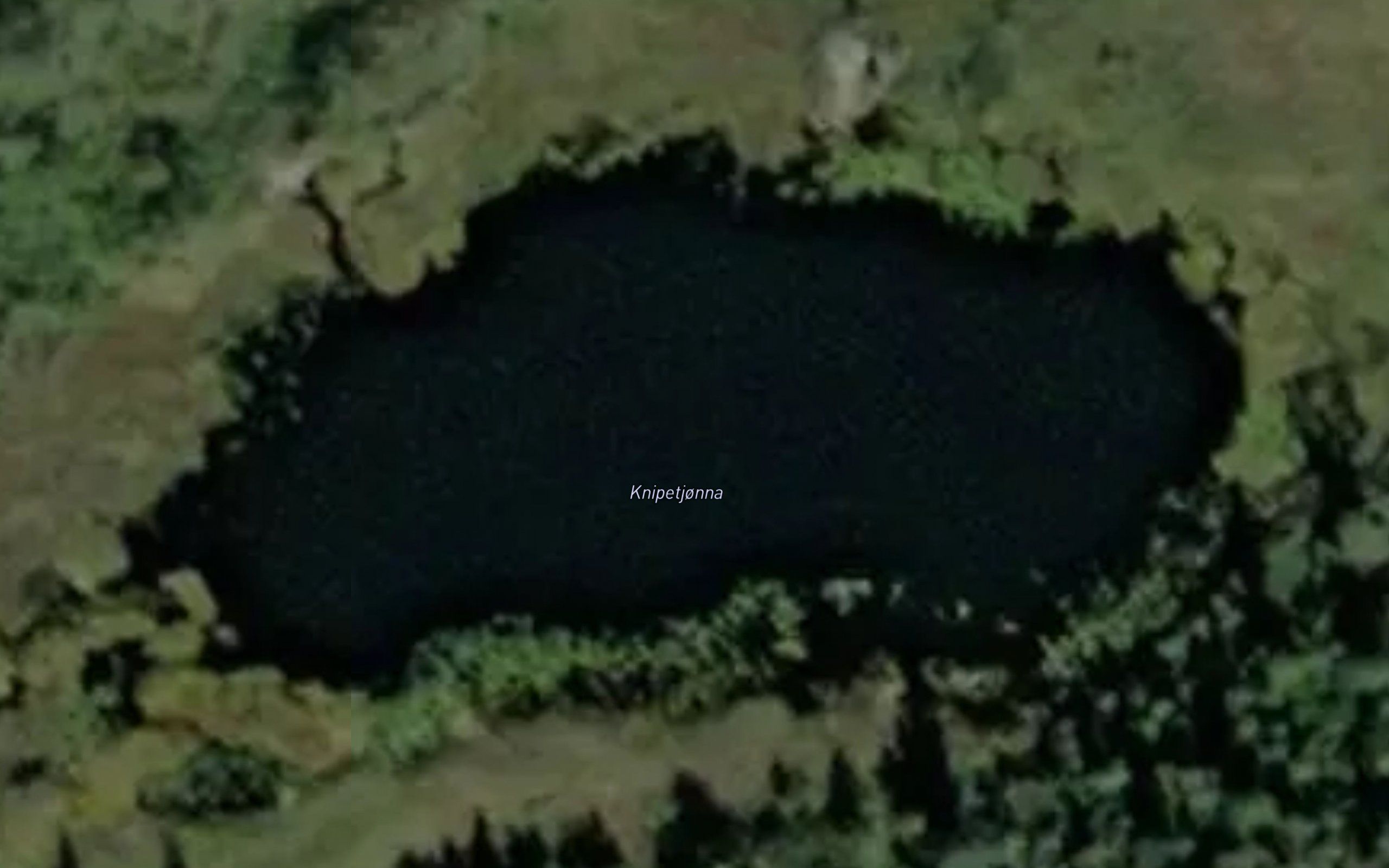 Knipetjonna