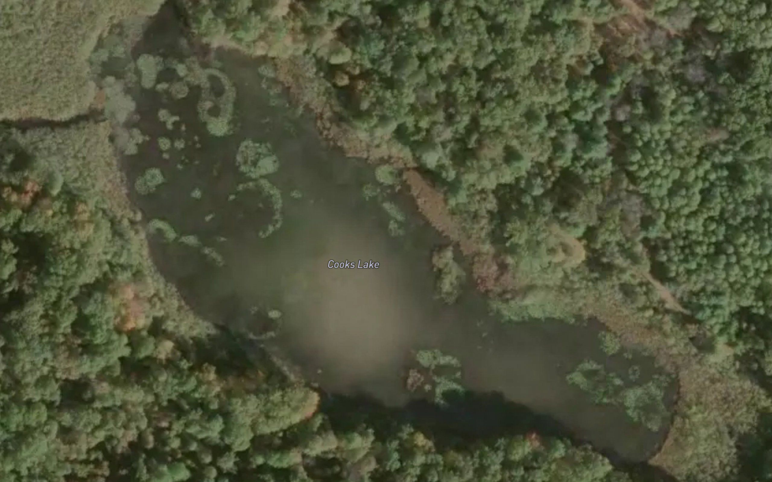 Cooks Lake