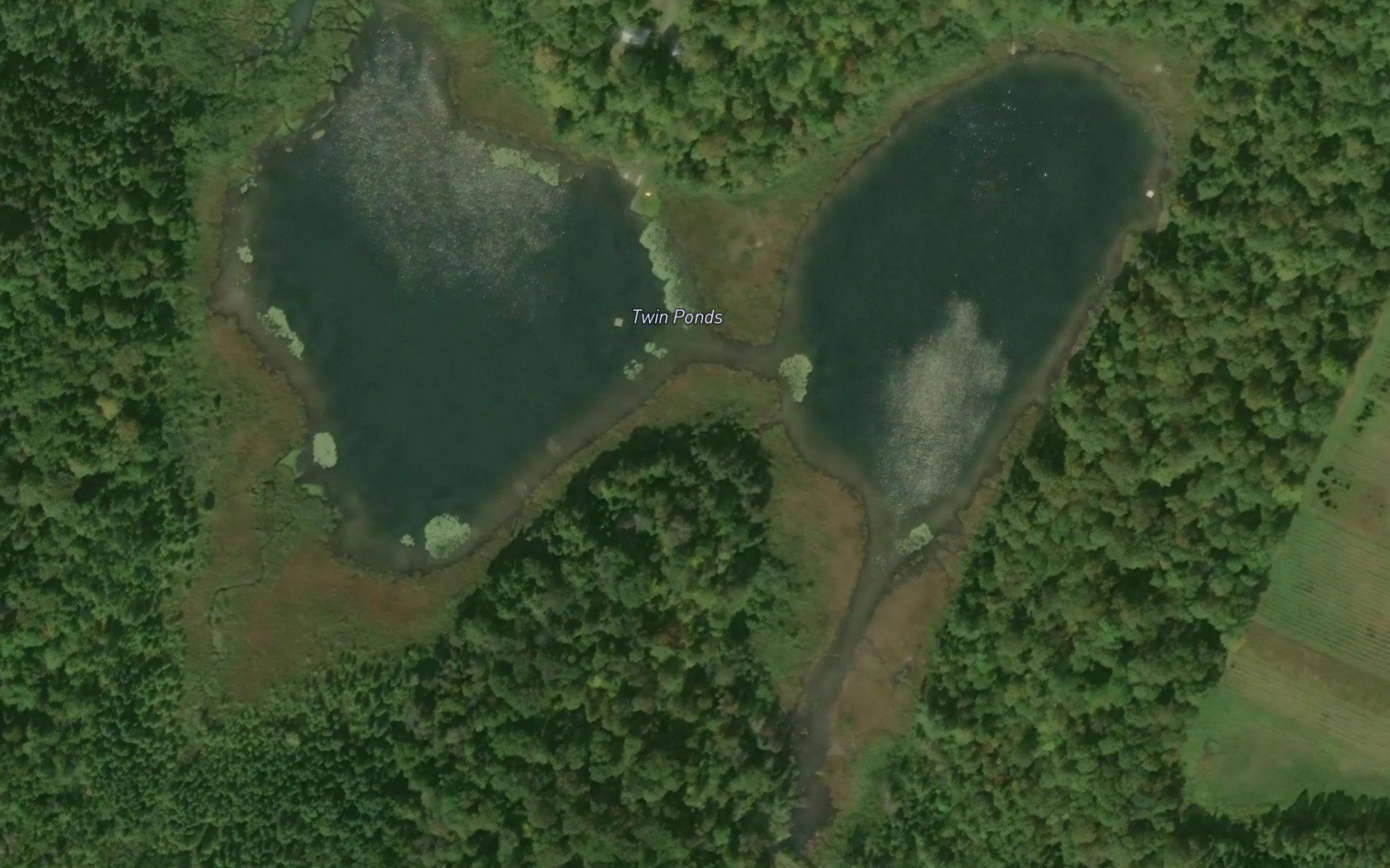 Twin Ponds