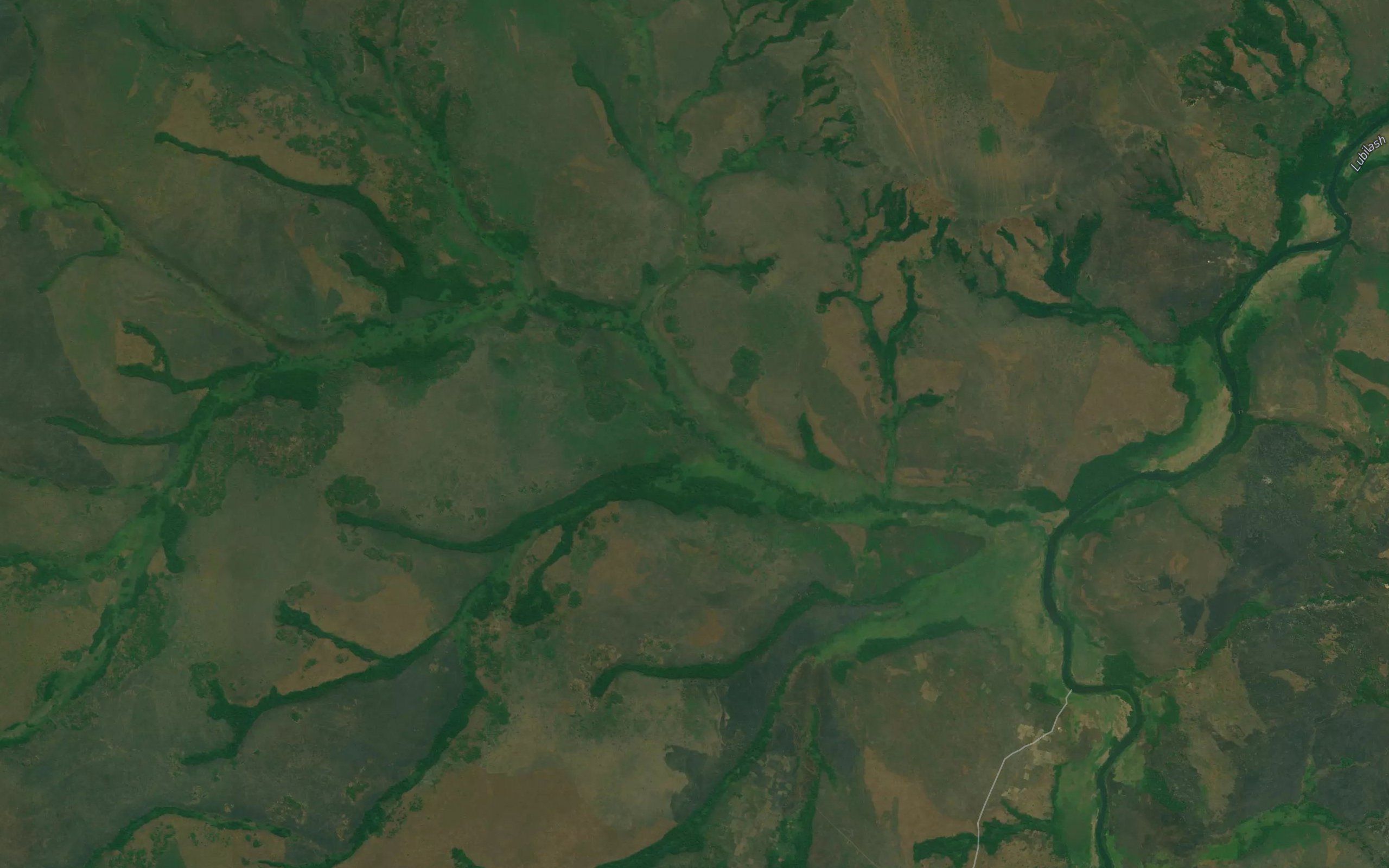 Kahimbongo