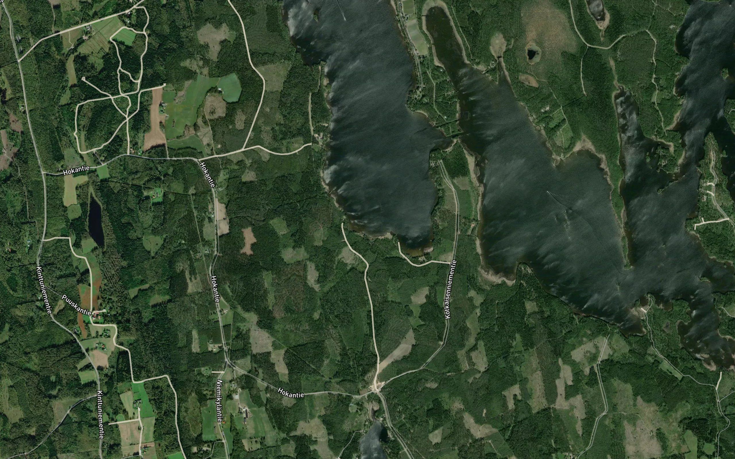 Pitkanhiedanlahti