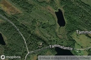 Tammelanjarvi