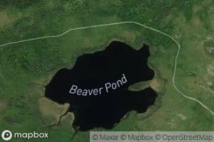 Beaver Pond