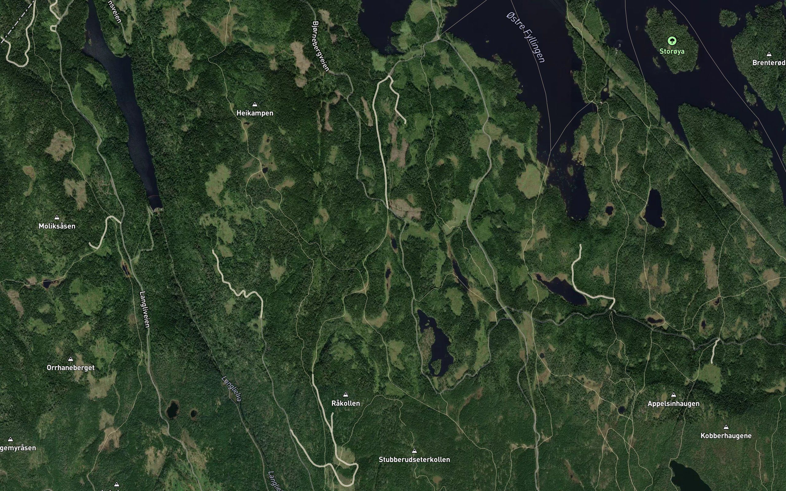 Lortkulpen