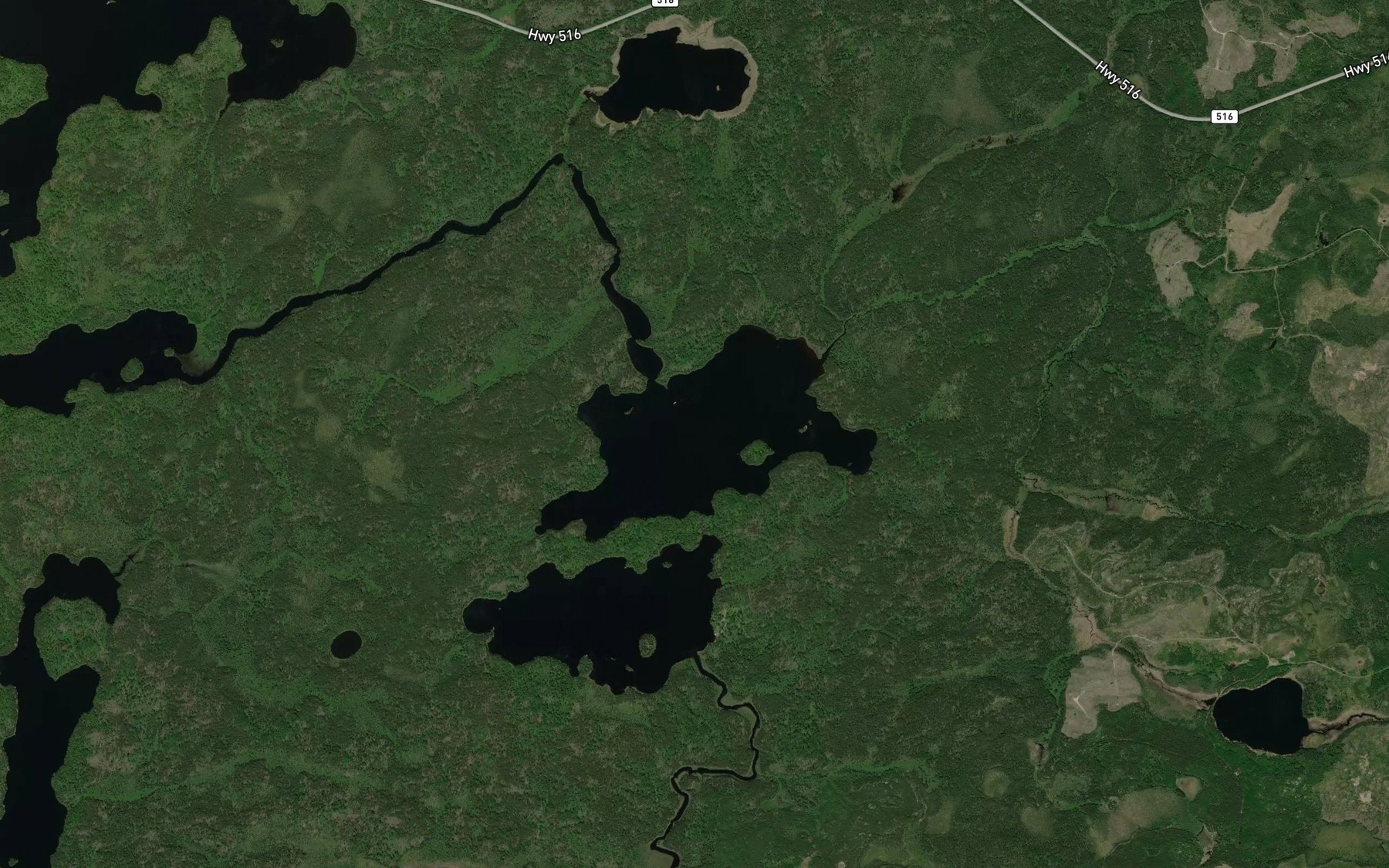 Satellite map of the Tiber Lake