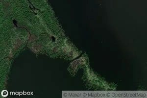 Big Ronaldson Slough