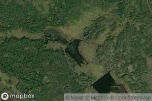 Lower Wilson Marsh Flowage