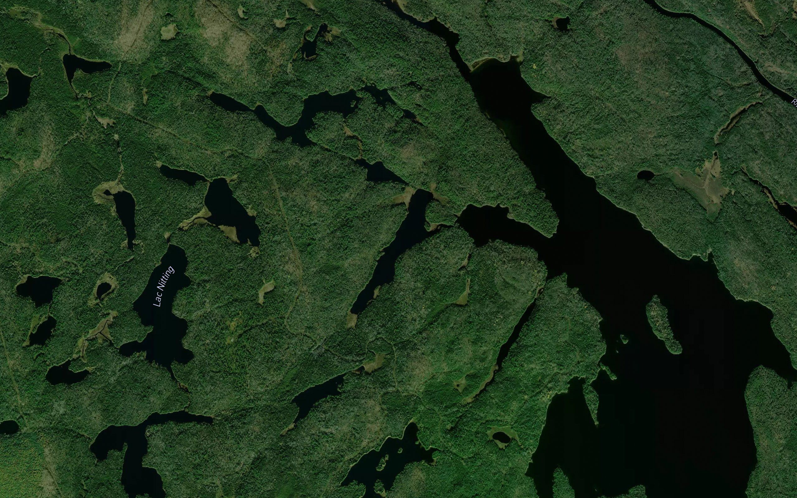 Lac Trait