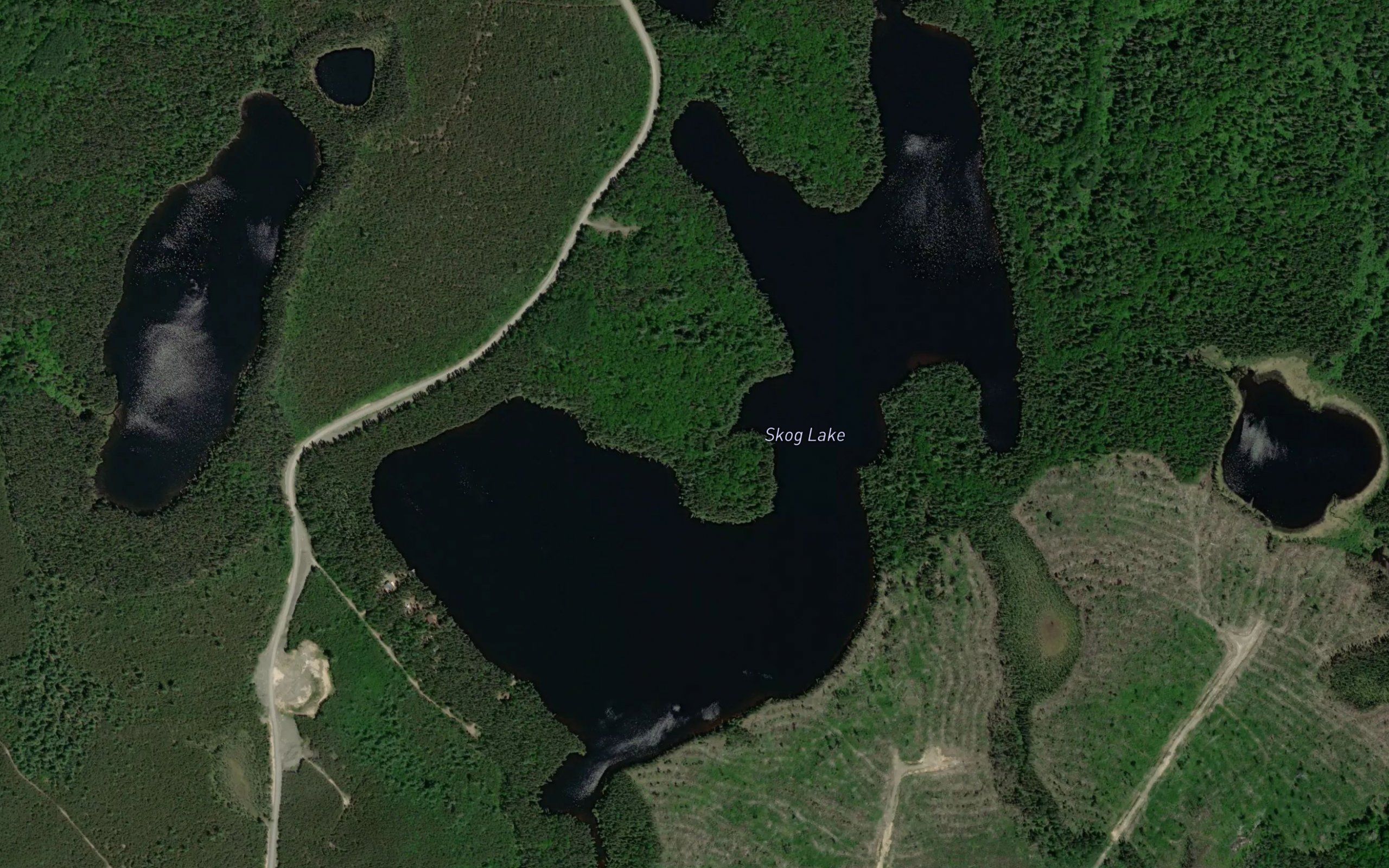 Skog Lake