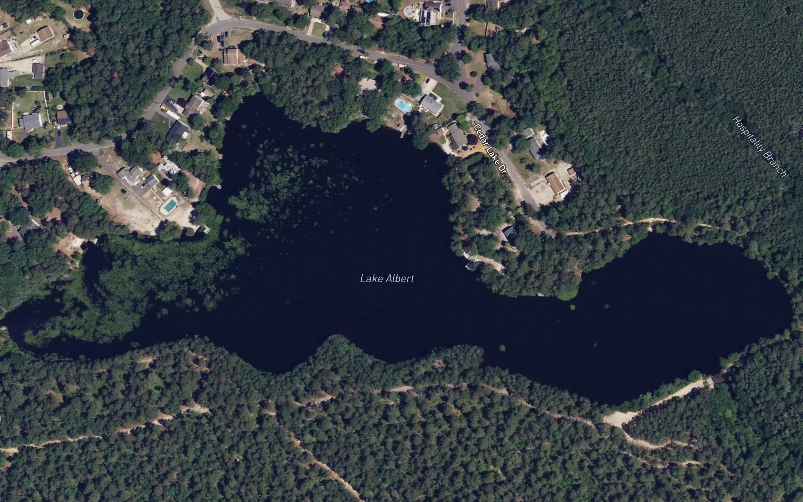 Lake Albert