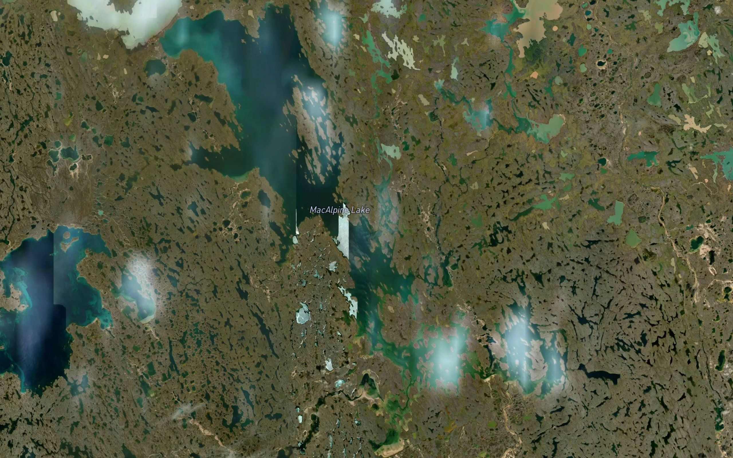 MacAlpine Lake