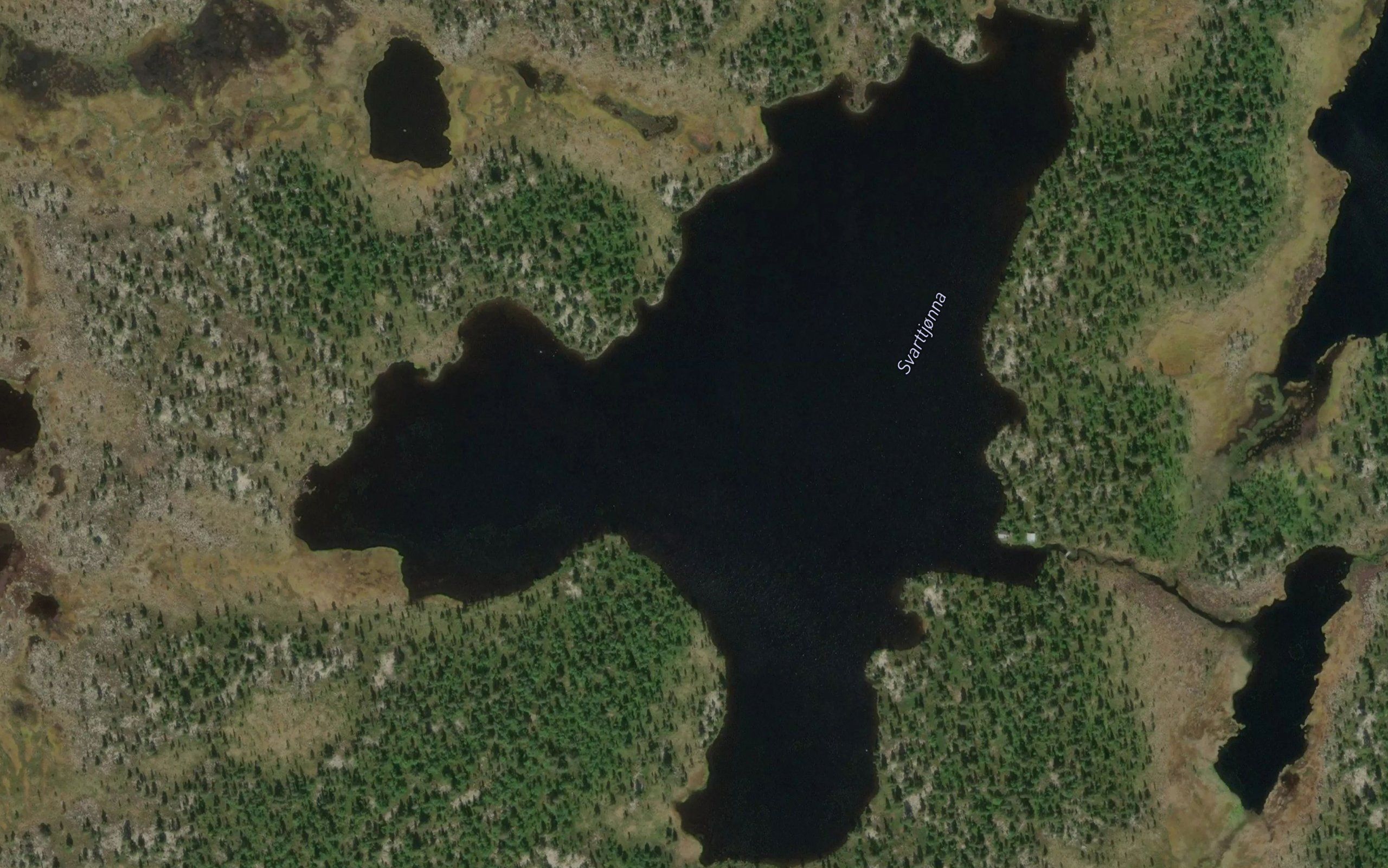 Svarttjonna