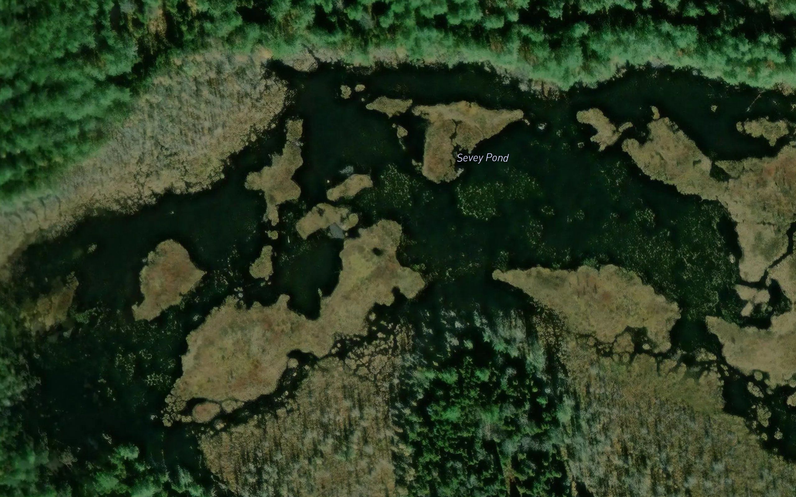 Sevey Pond