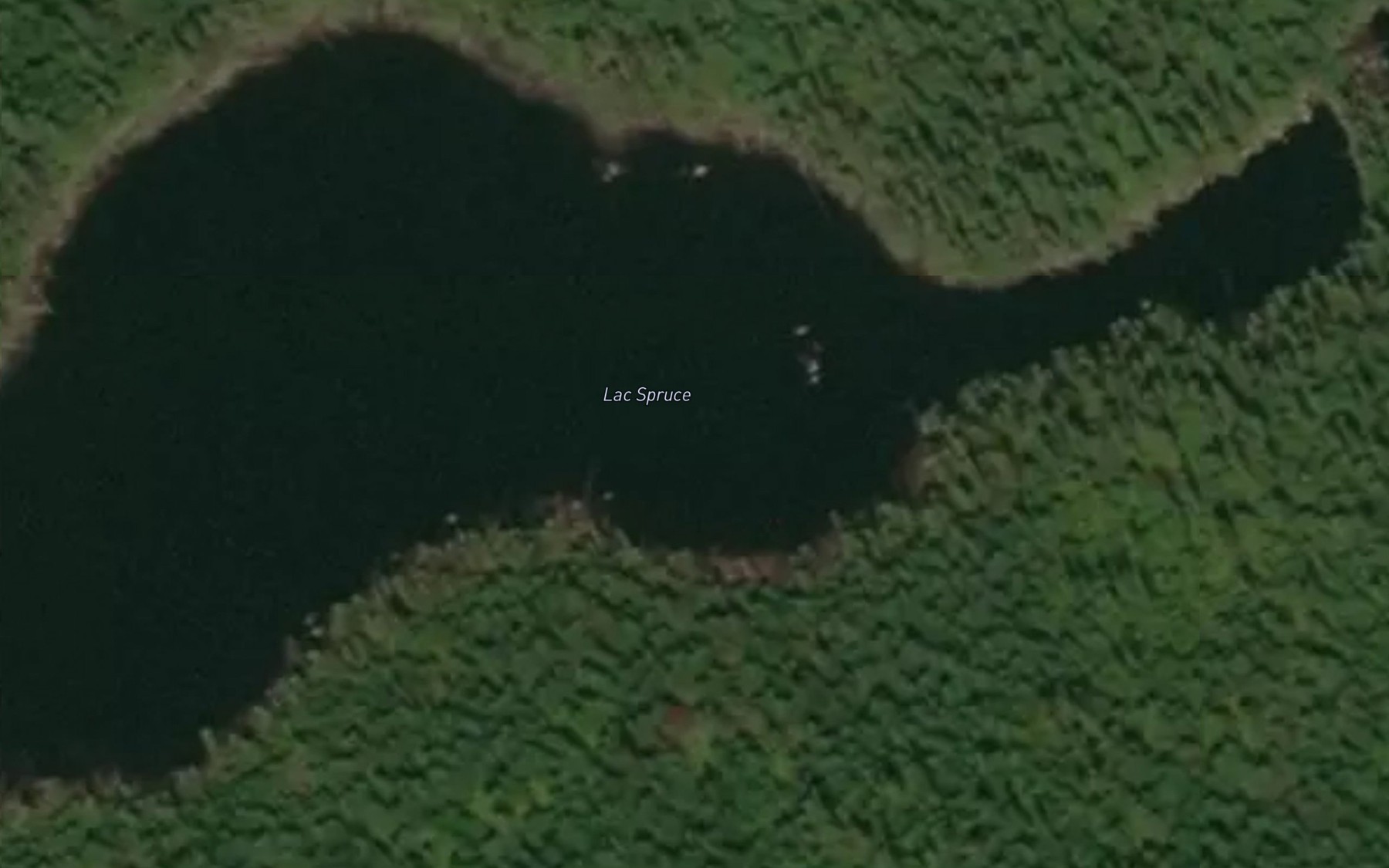 Satellite map of the Lac Spruce