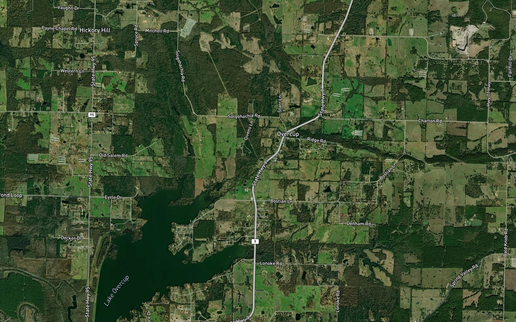 Satellite map of the Cooks Branch