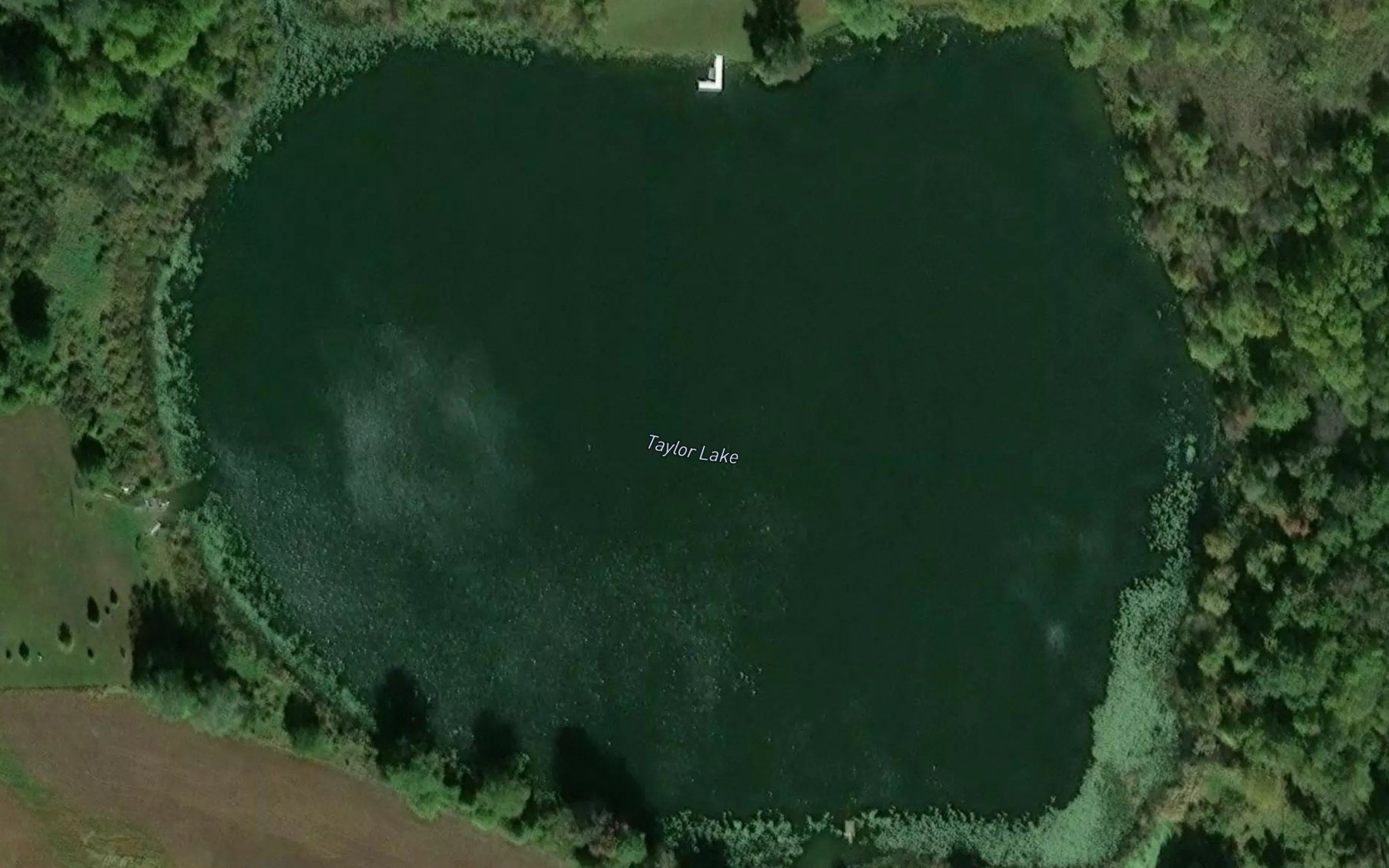 Taylor Lake