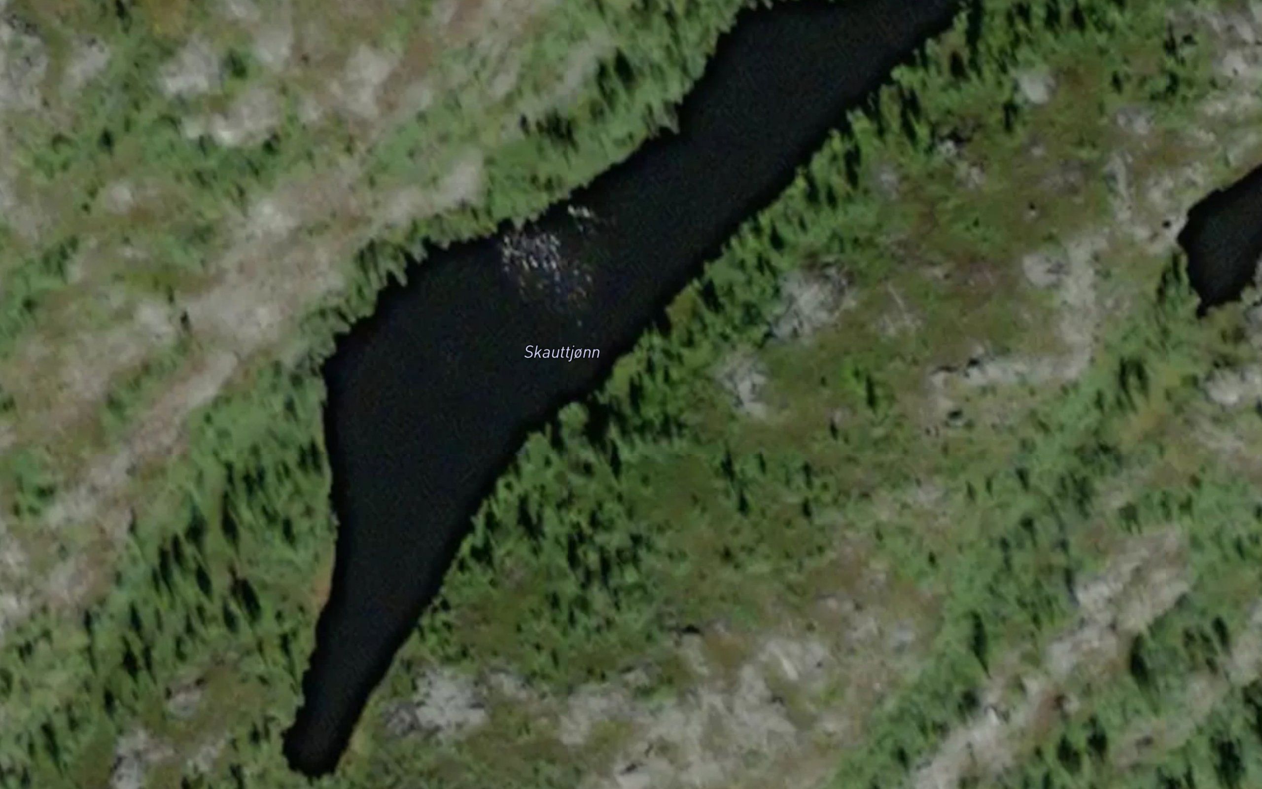 Skauttjorn