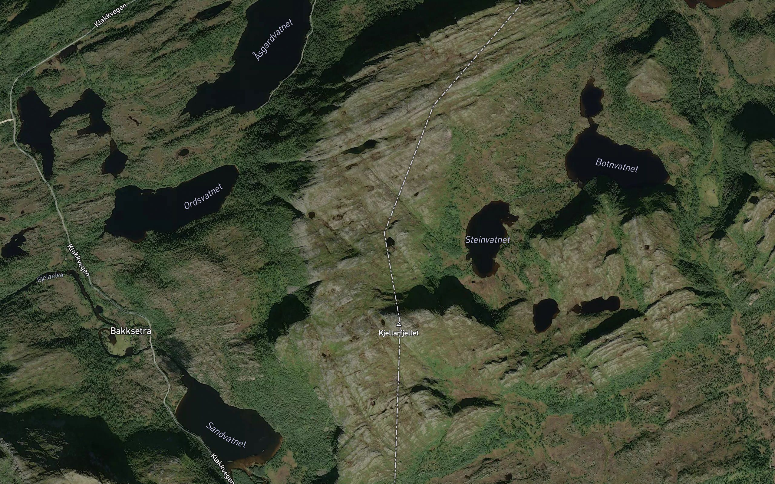Paradistjonna